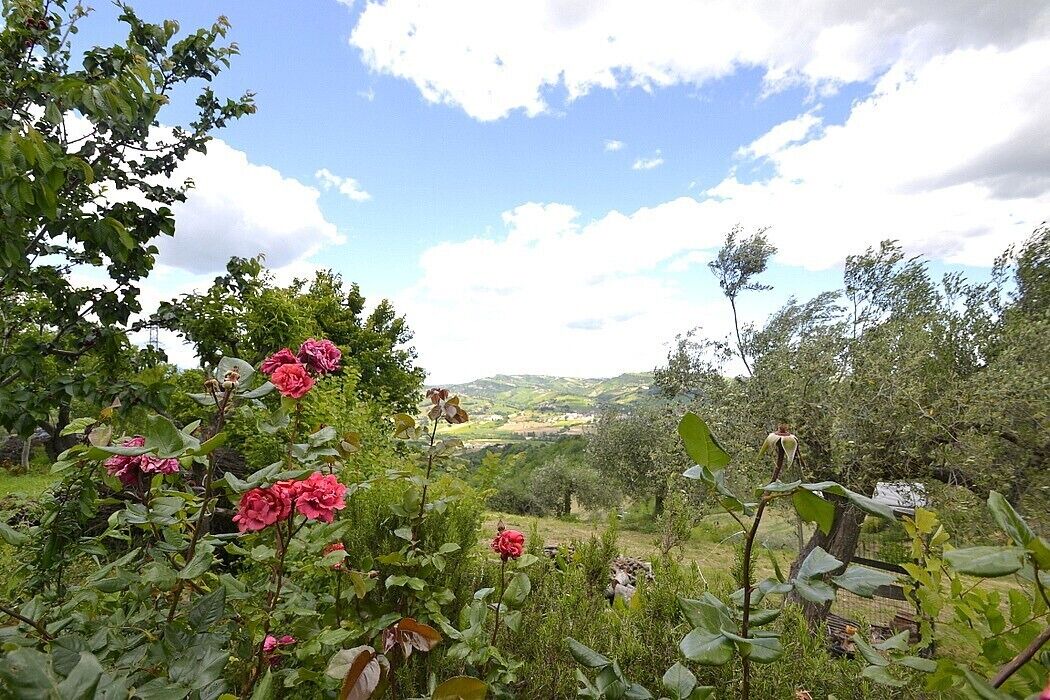 Photo of Outdoor in Cellino Attanasio