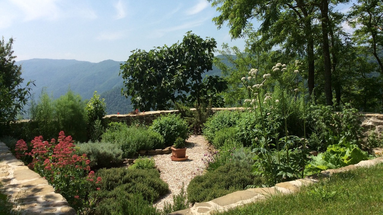 Photo of Outdoor in Sarsina