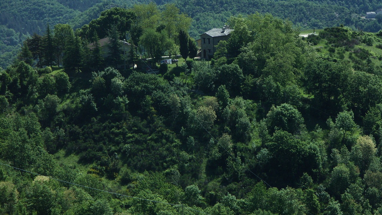 Photo of Outdoor in Sarsina
