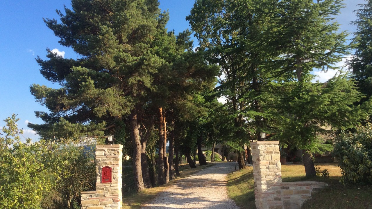 Photo of Outdoor in Sarsina