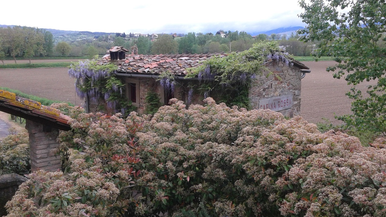 Photo of Outdoor in Starda