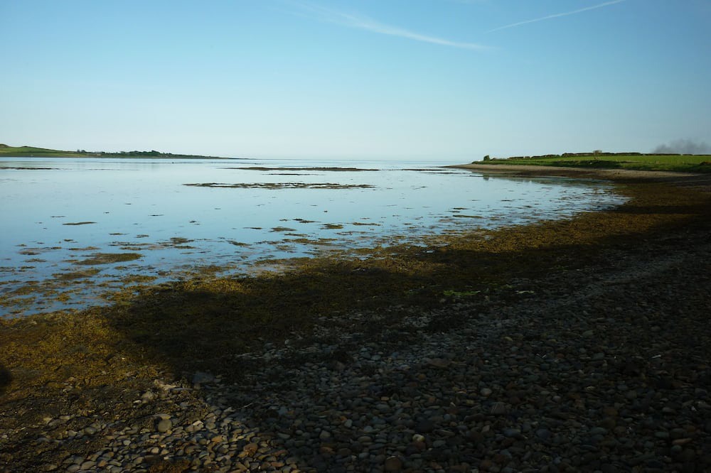 Photo of Others in Strangford
