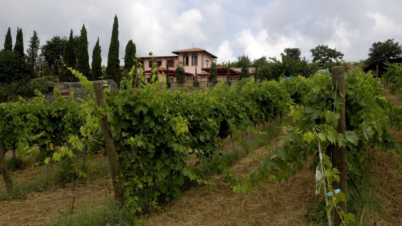 Photo of Outdoor in Cerveteri