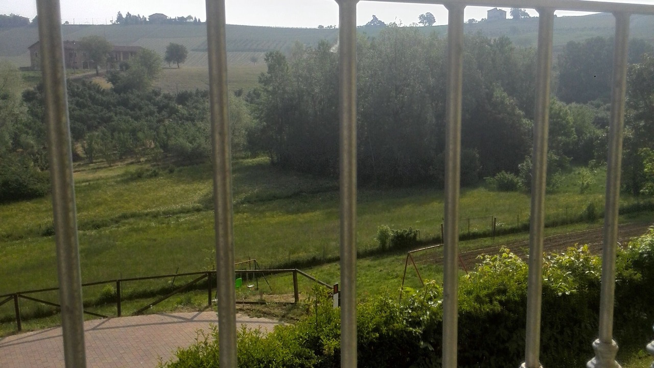 Photo of Others in Nizza Monferrato
