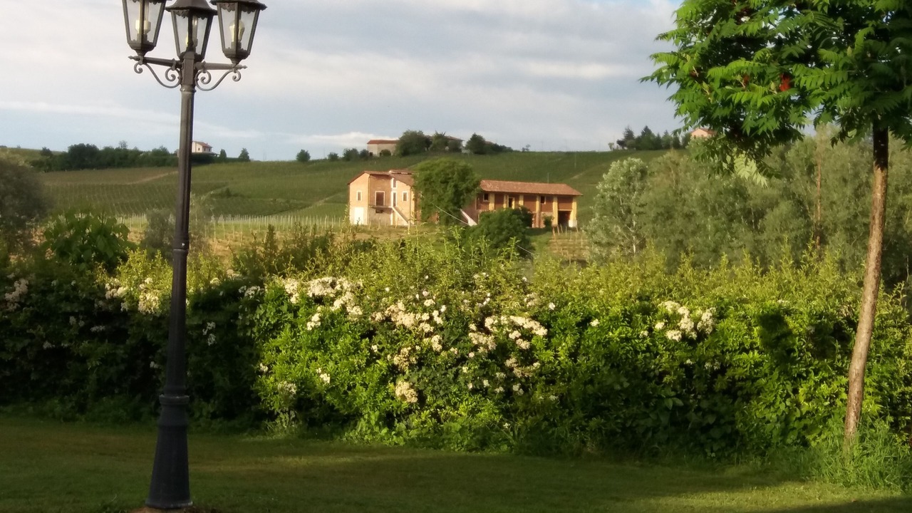 Photo of Outdoor in Nizza Monferrato