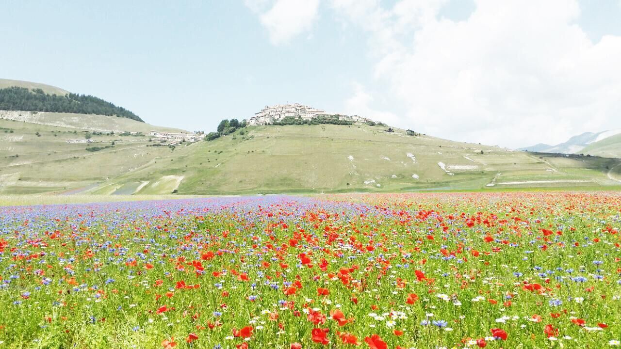 Photo of Outdoor in Macerata