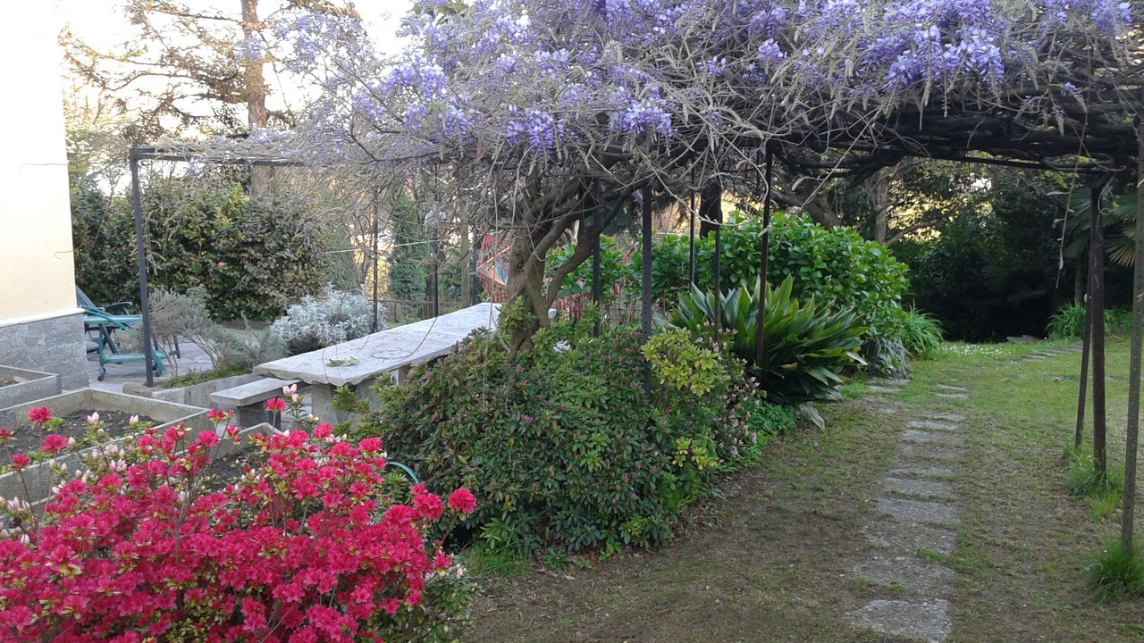 Photo of Outdoor in Nebbiuno