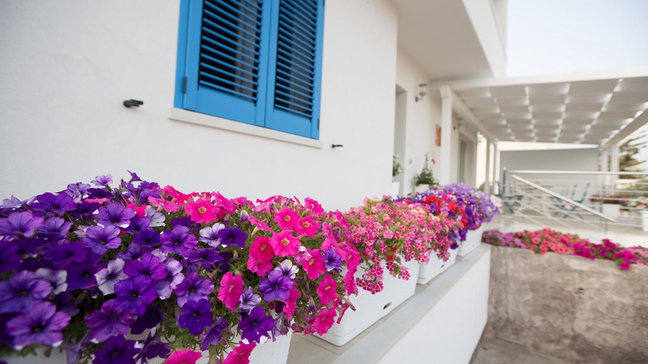 Photo of Outdoor in Marinella di Selinunte
