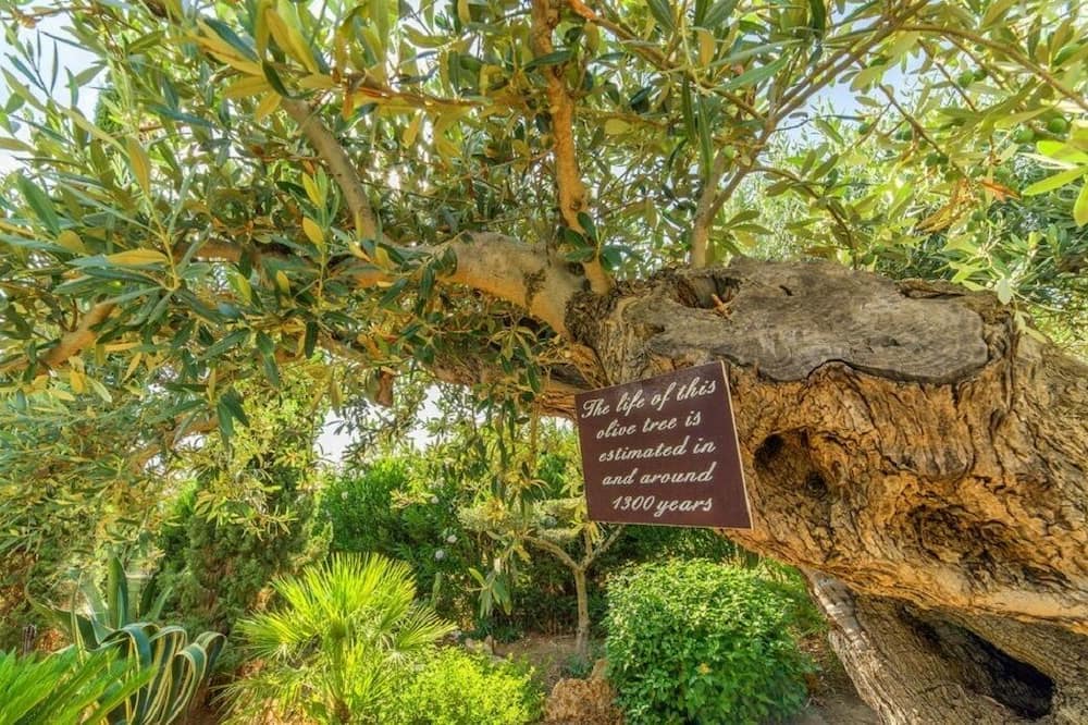 Photo of Outdoor in Menfi