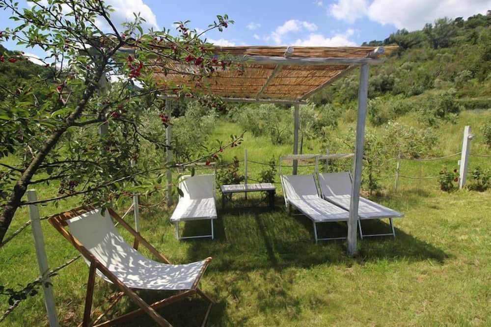 Photo of Outdoor in Collesalvetti