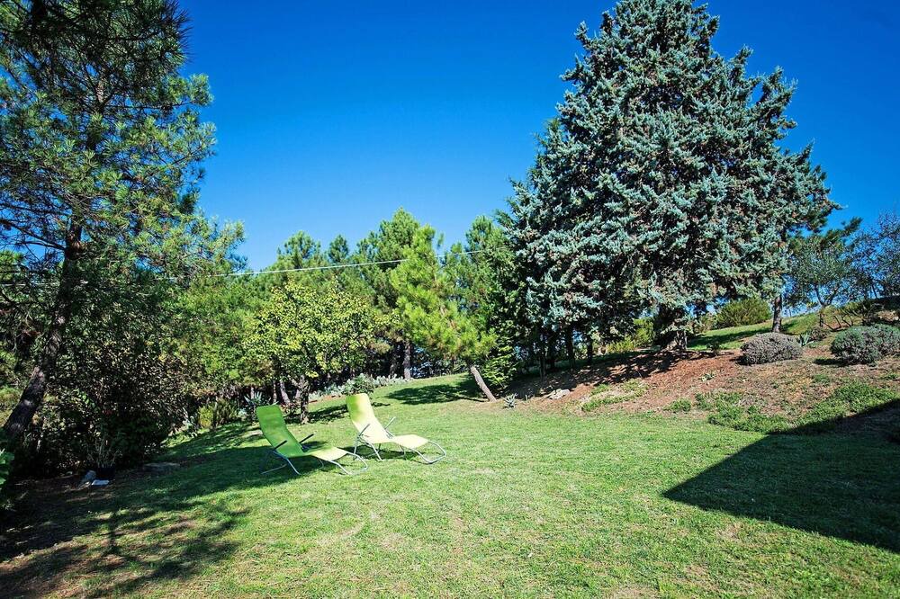 Photo of Outdoor in Neri