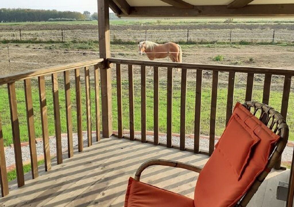 Photo of Patio Balcony in Corinaldo