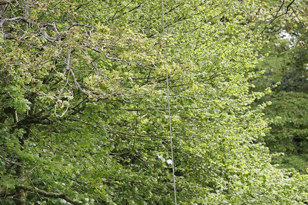 Photo of Outdoor in Crynant