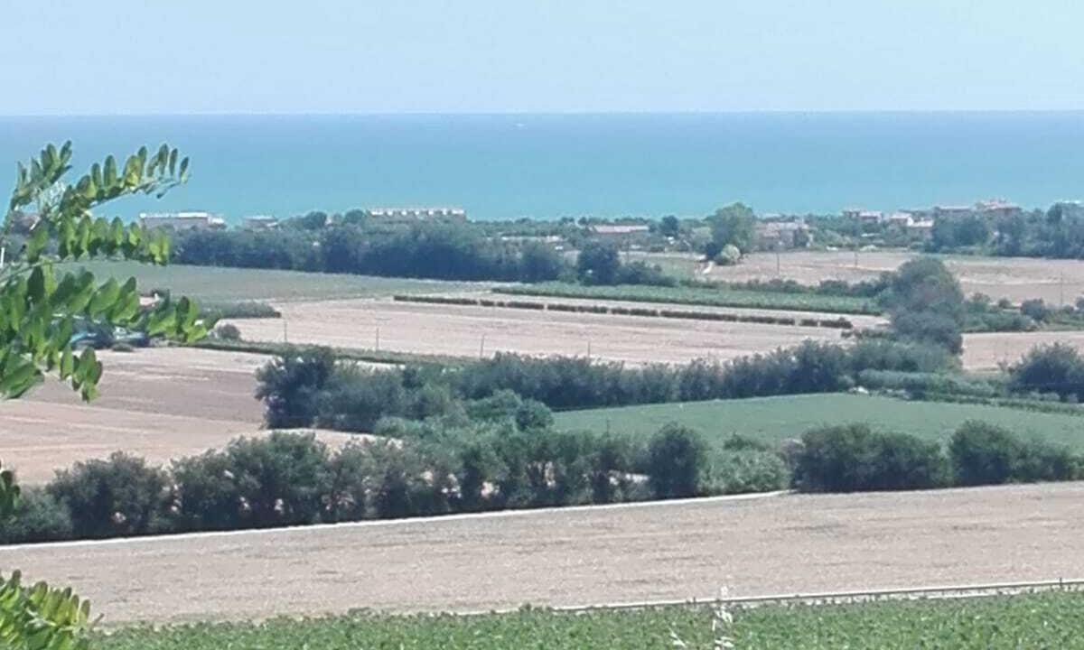 Photo of Others in Fano