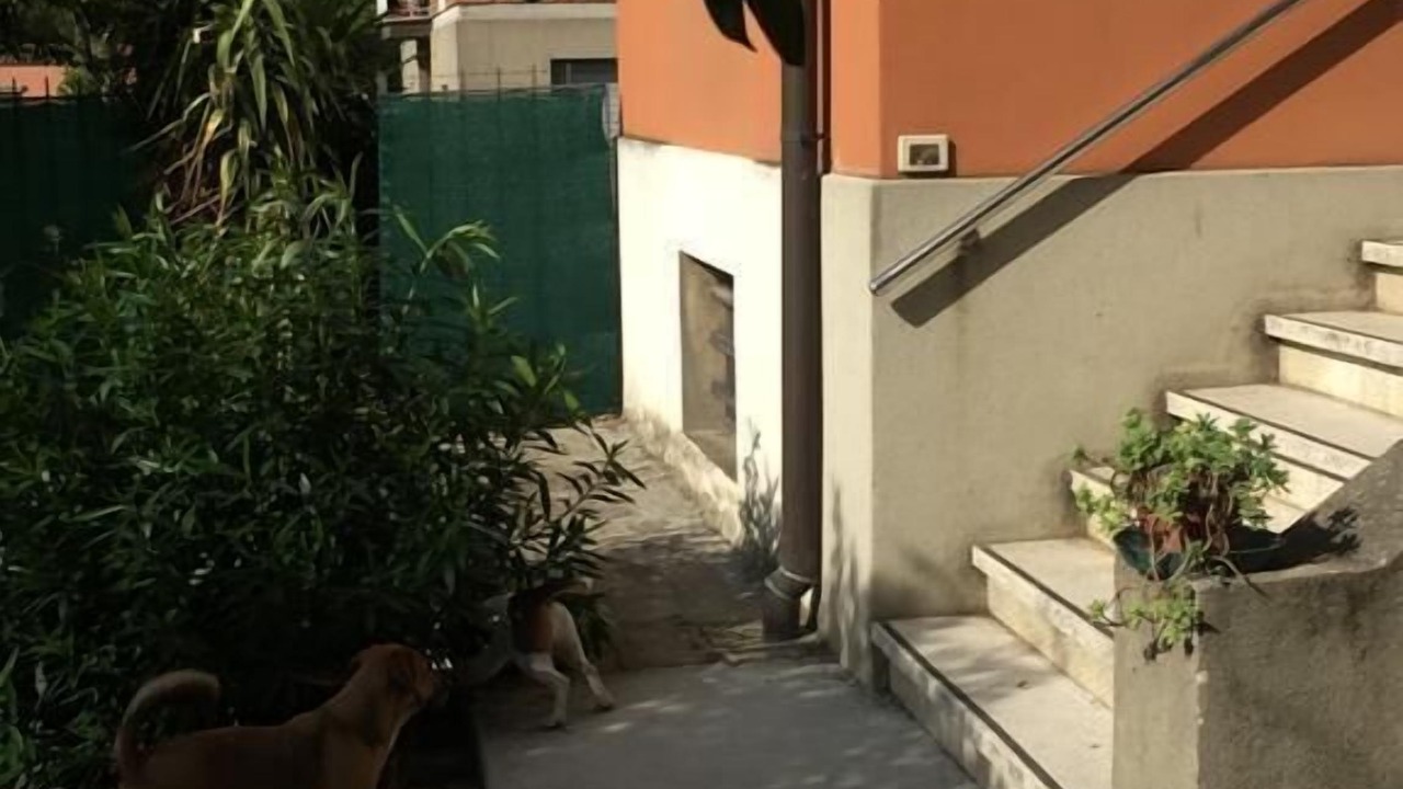 Photo of Others in San Donato