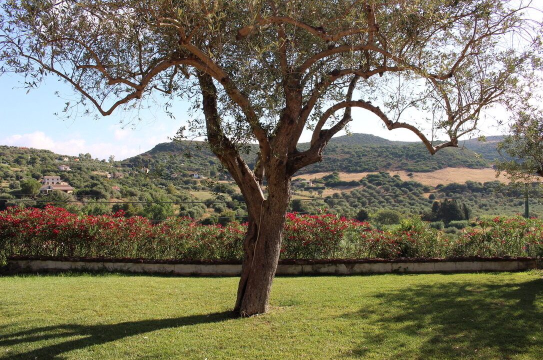 Photo of Outdoor in Alghero