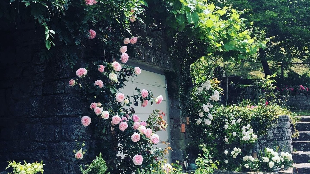 Photo of Outdoor in Cortona