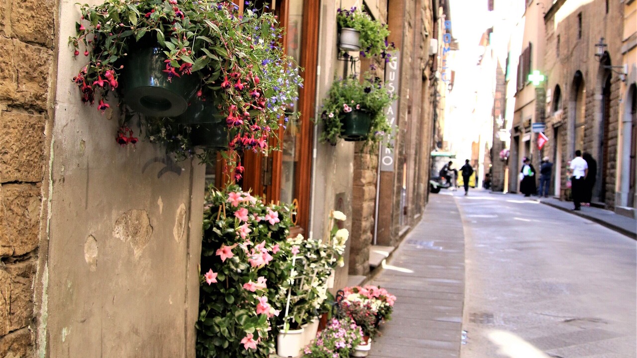 Photo of Outdoor in Santa Croce