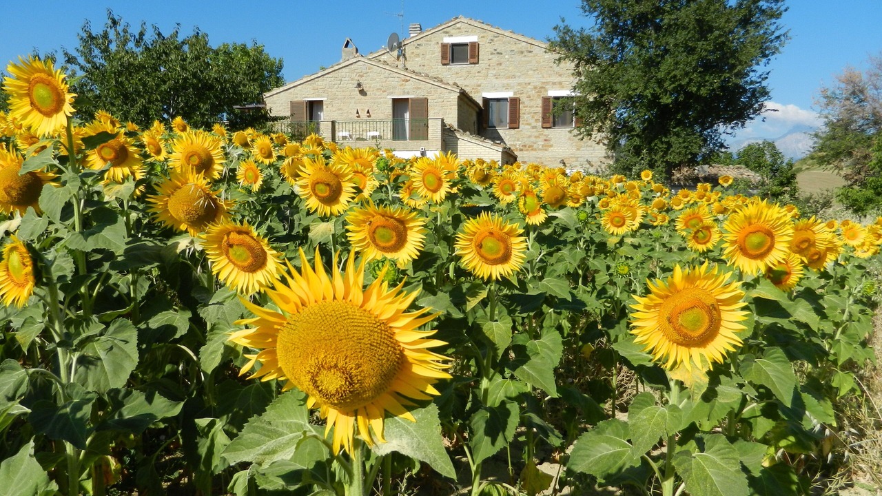 Photo of Outdoor in Castiglione Messer Raimondo