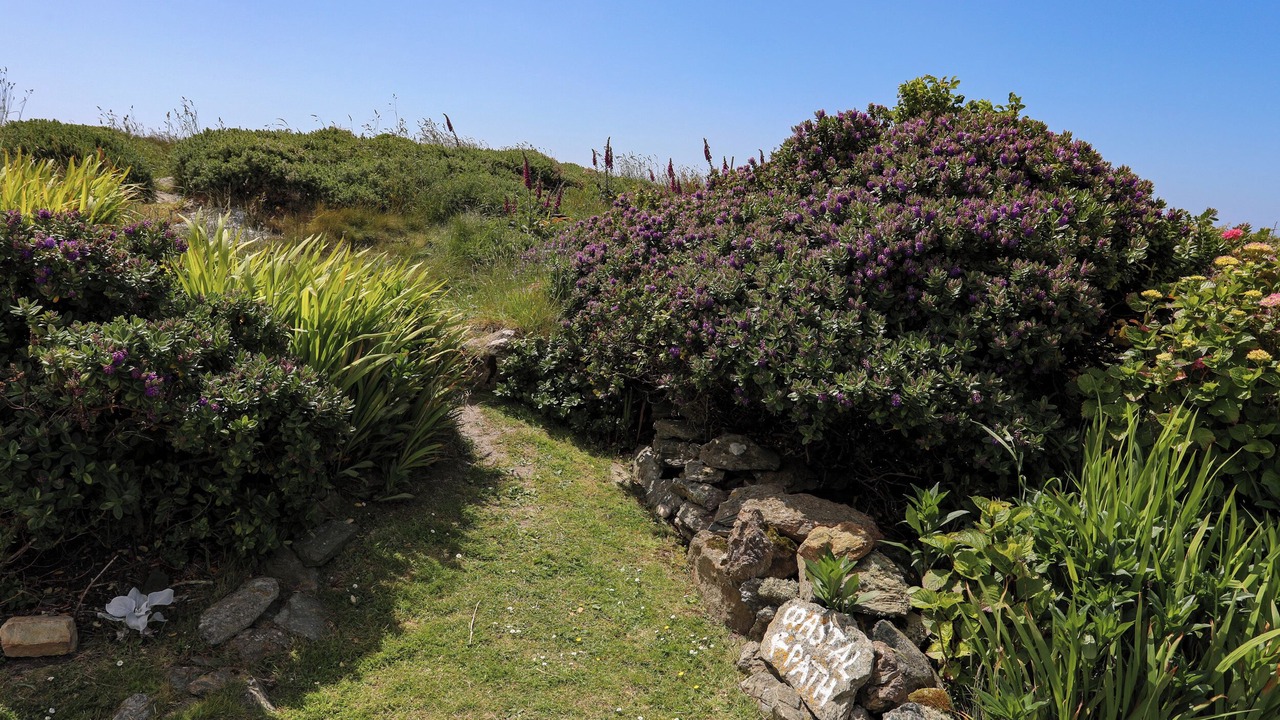 Photo of Others in Rhoscolyn