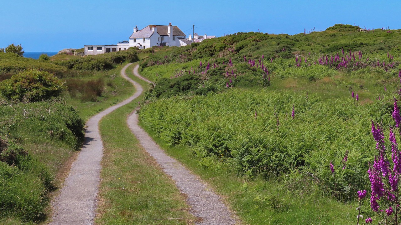 Photo of Others in Rhoscolyn