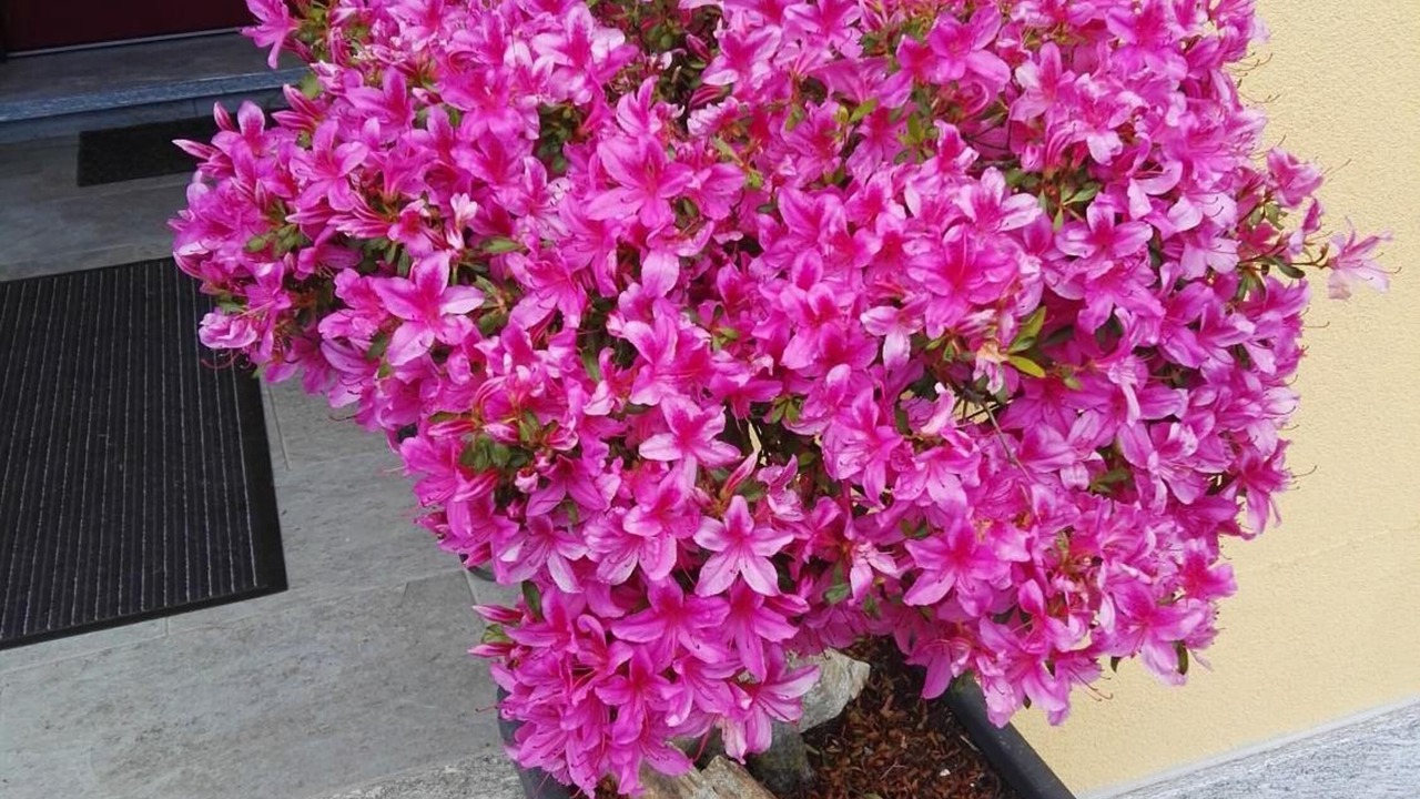 Photo of Outdoor in Brolo