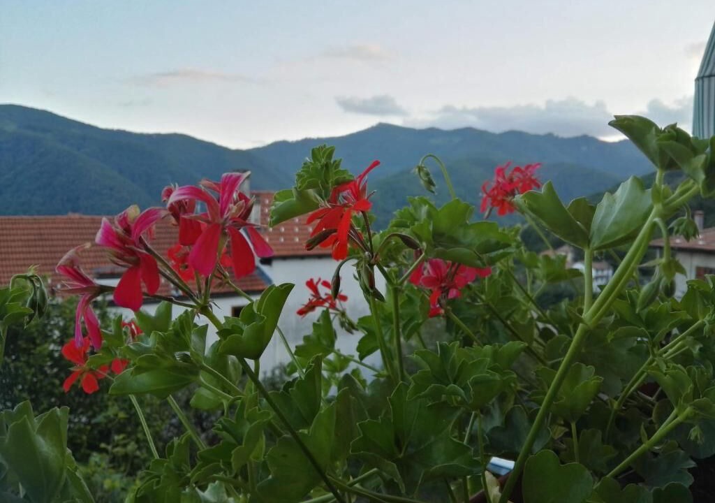 Photo of Outdoor in Brolo