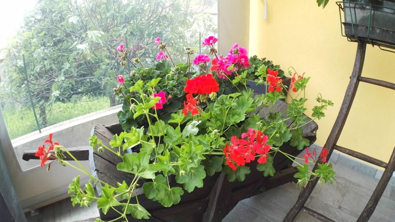 Photo of Outdoor in Brolo