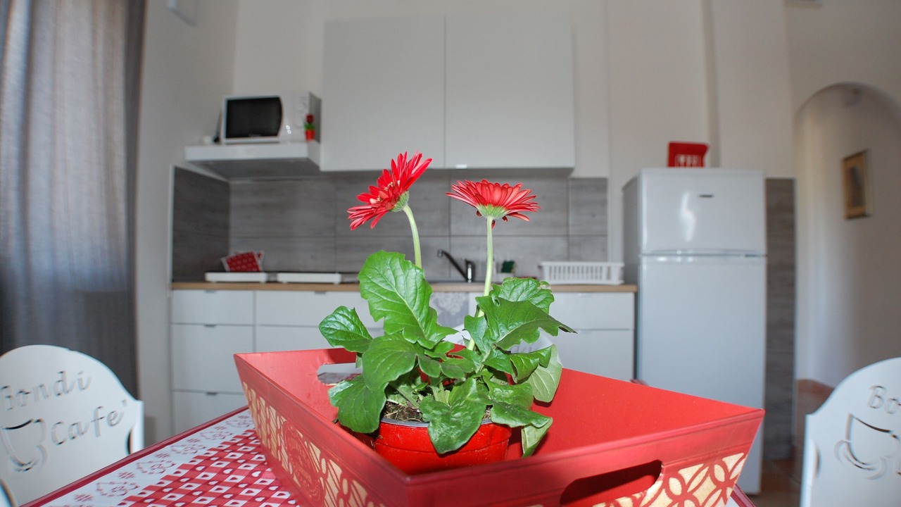 Photo of Kitchen in Tolfa