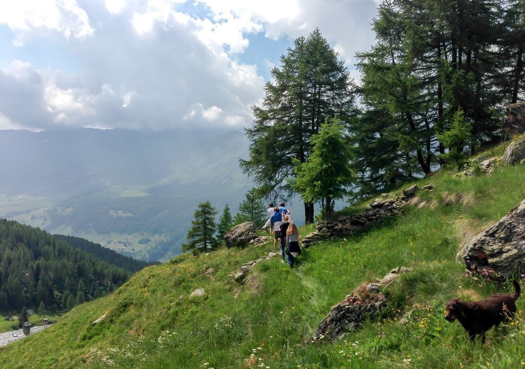 Photo of Others in Champoluc