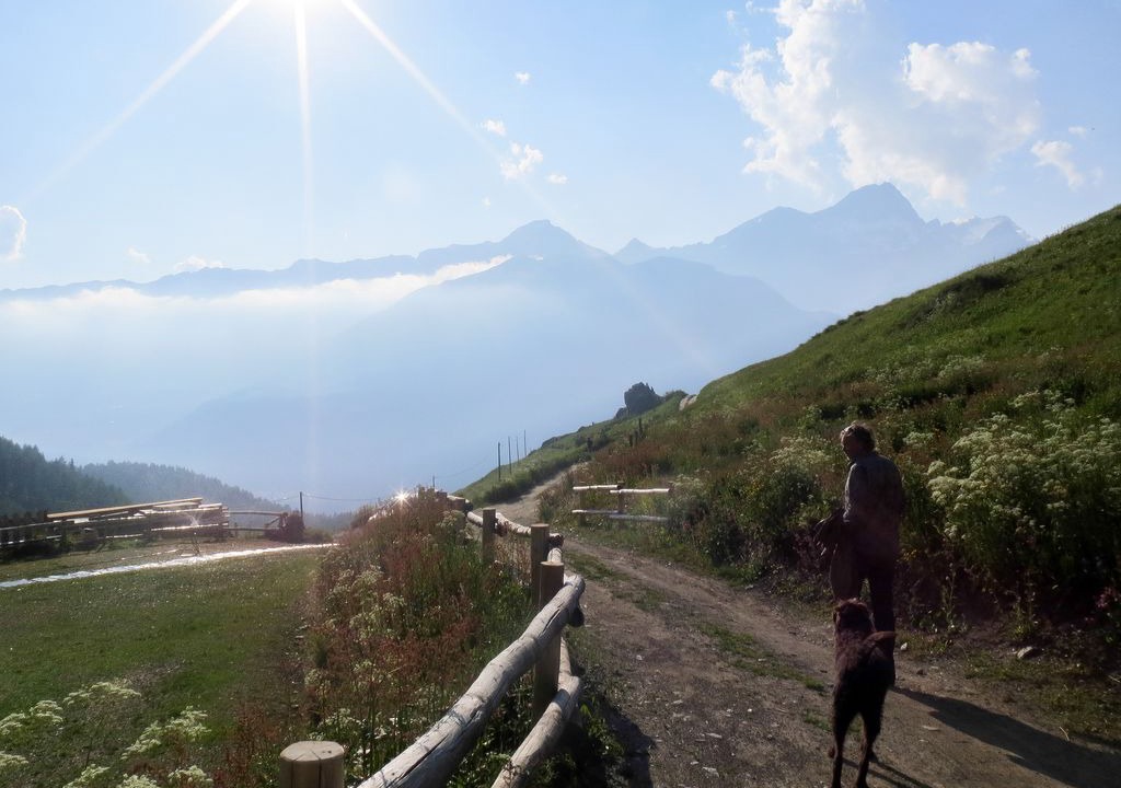 Photo of Others in Champoluc
