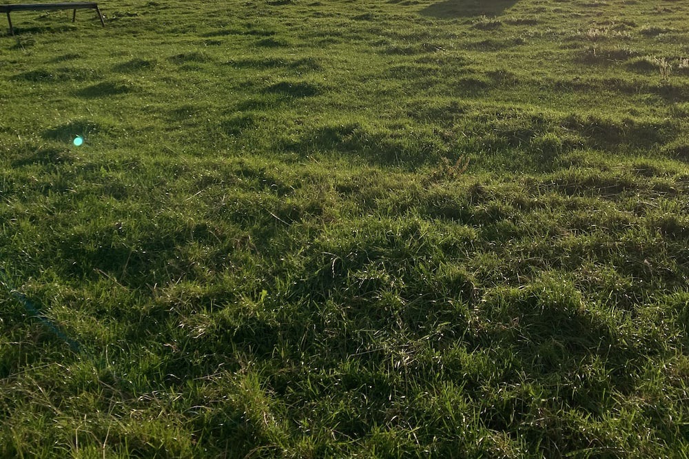 Photo of Outdoor in Lisburn