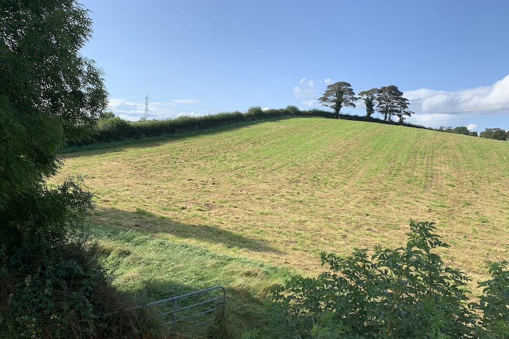 Photo of Outdoor in Lisburn