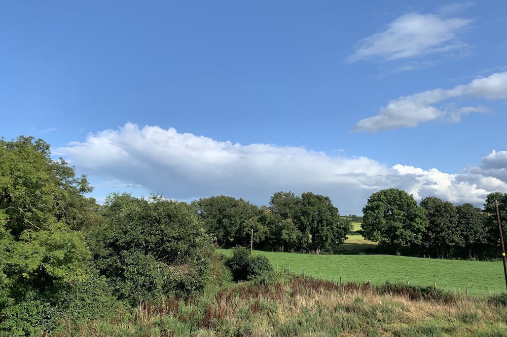 Photo of Outdoor in Lisburn