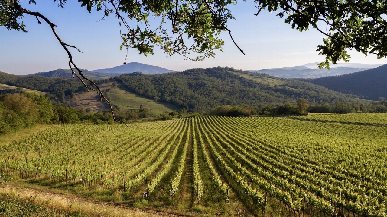 Photo of Outdoor in Manciano