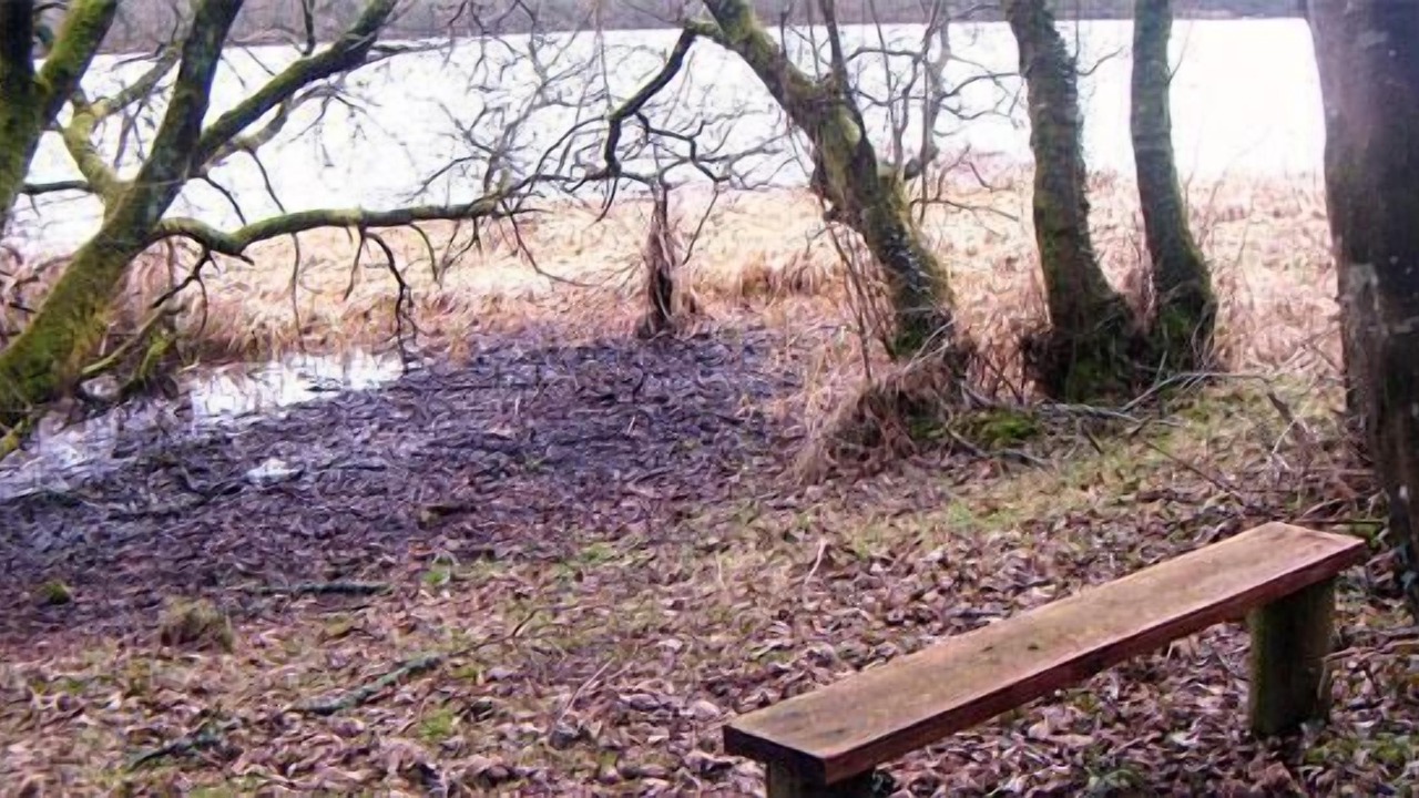 Photo of Outdoor in Enniskillen