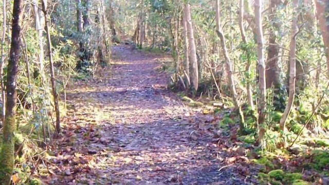 Photo of Outdoor in Enniskillen