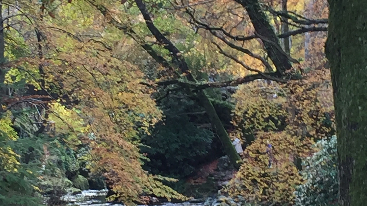 Photo of Outdoor in Bryansford