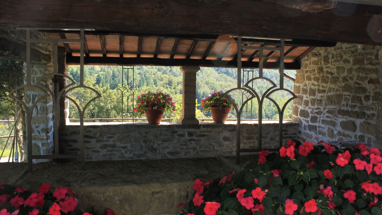 Photo of Outdoor in Starda