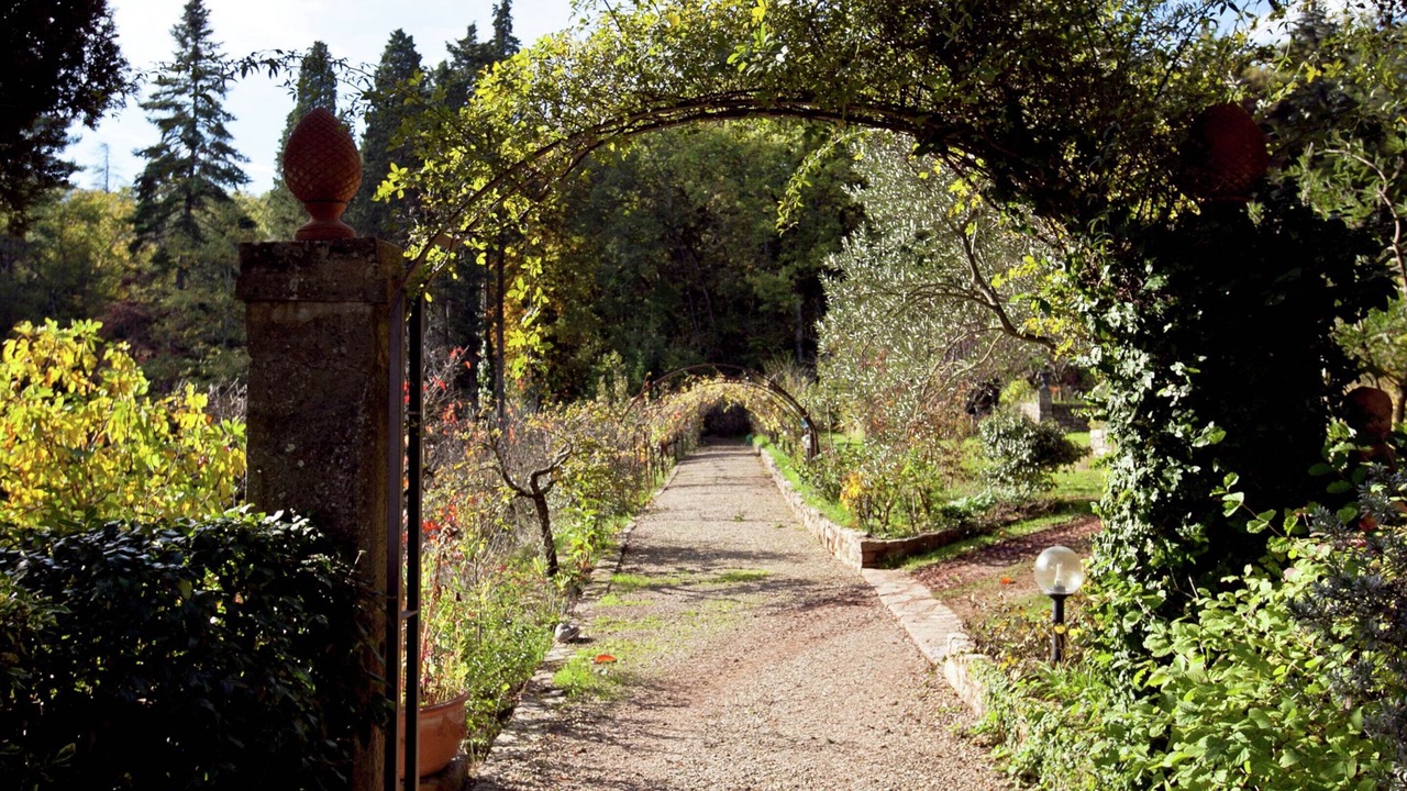 Photo of Outdoor in Greve in Chianti