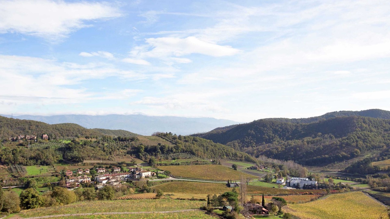 Photo of Others in Greve in Chianti