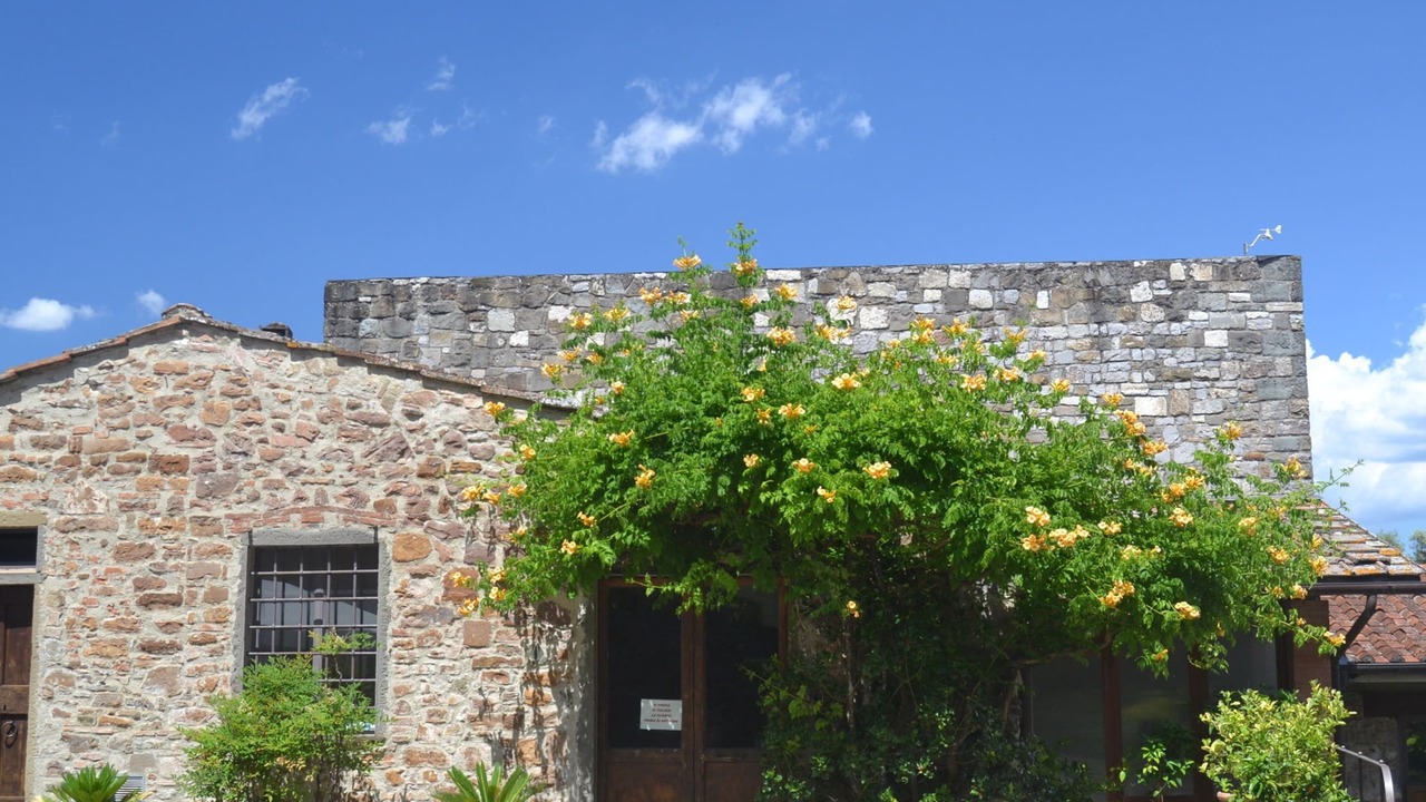 Photo of Outdoor in Greve in Chianti