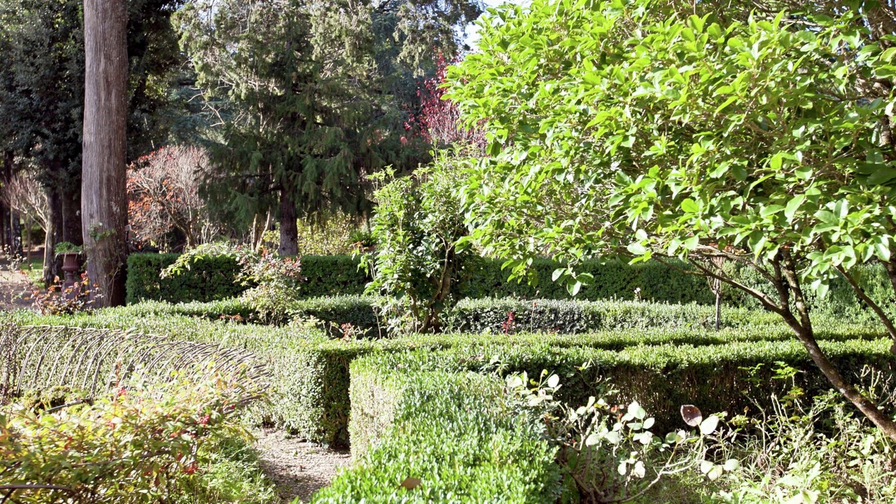 Photo of Outdoor in Greve in Chianti