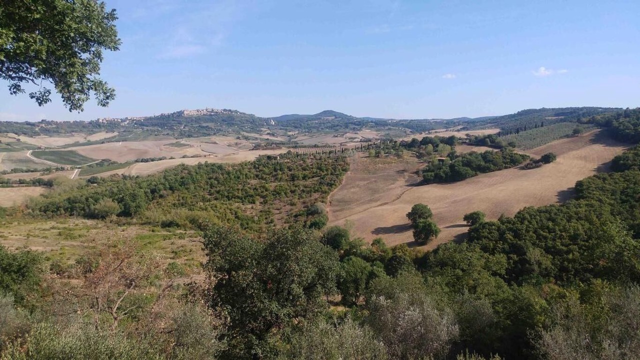 Photo of Outdoor in Montefollonico