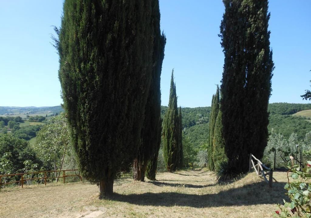 Photo of Outdoor in Montefollonico
