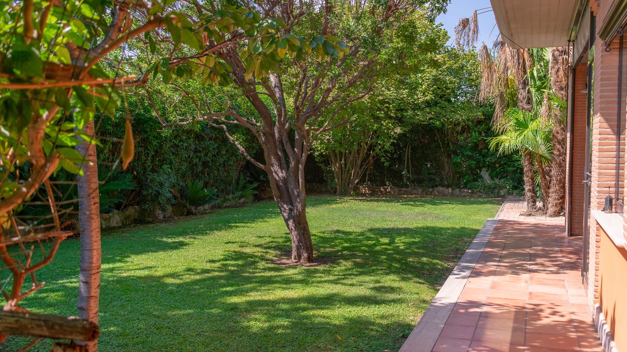 Photo of Outdoor in Suburbio IX Aurelio