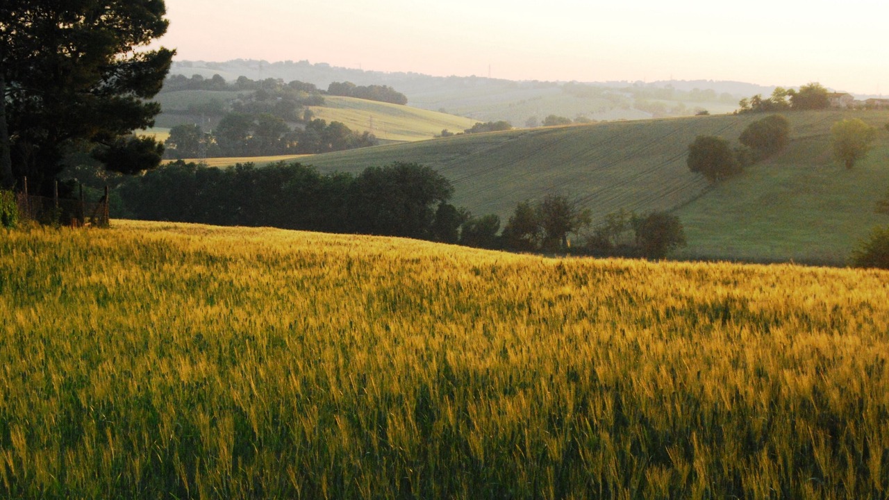 Photo of Outdoor in Montemarciano