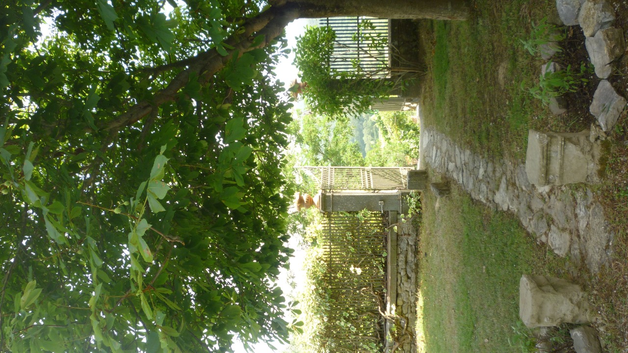 Photo of Outdoor in Lisciano Niccone