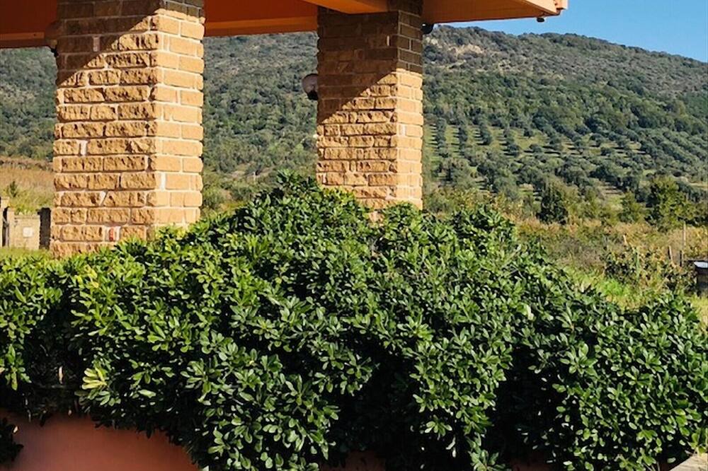 Photo of Outdoor in Cerveteri