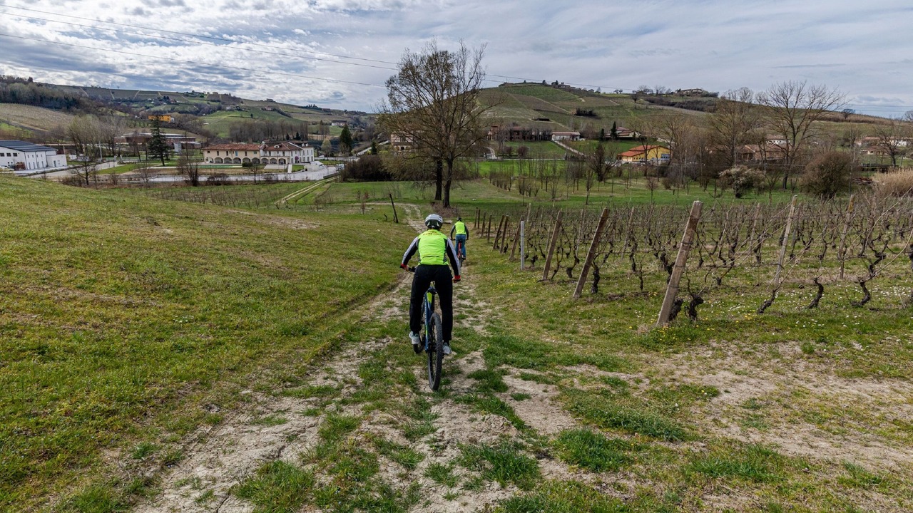 Photo of Outdoor in Canelli